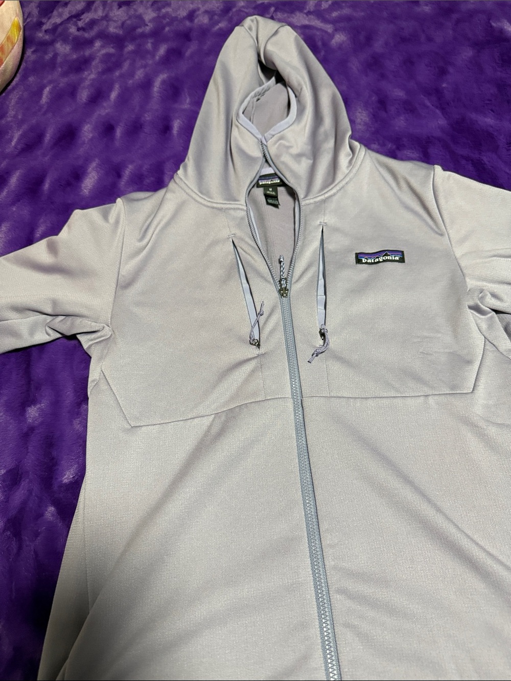 Patagonia Light Gray Full-Zip Hooded Pullover